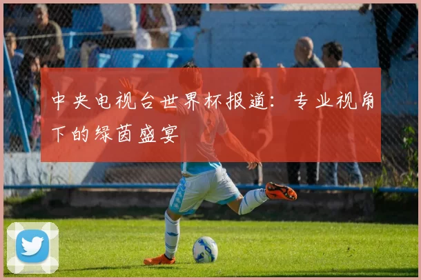 中央电视台世界杯报道：专业视角下的绿茵盛宴