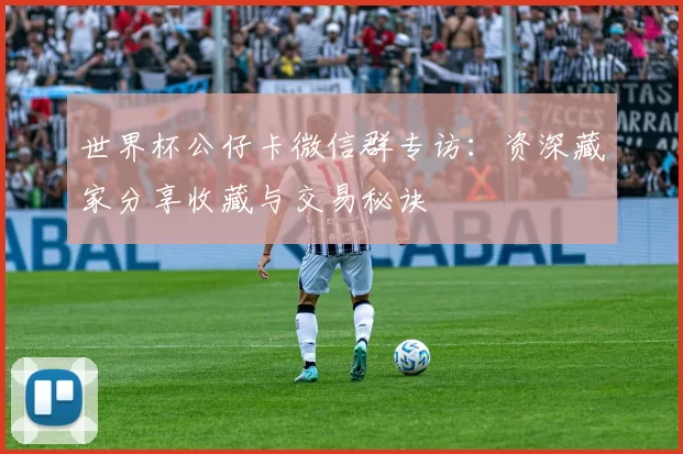 世界杯公仔卡微信群专访：资深藏家分享收藏与交易秘诀