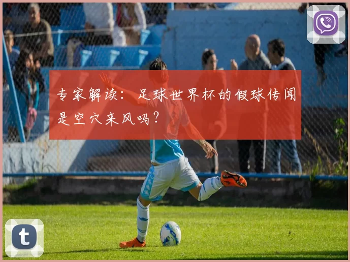 专家解读:足球世界杯的假球传闻是空穴来风吗?