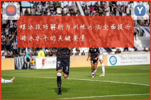 蝶泳技巧解析与训练方法全面提升游泳水平的关键要素