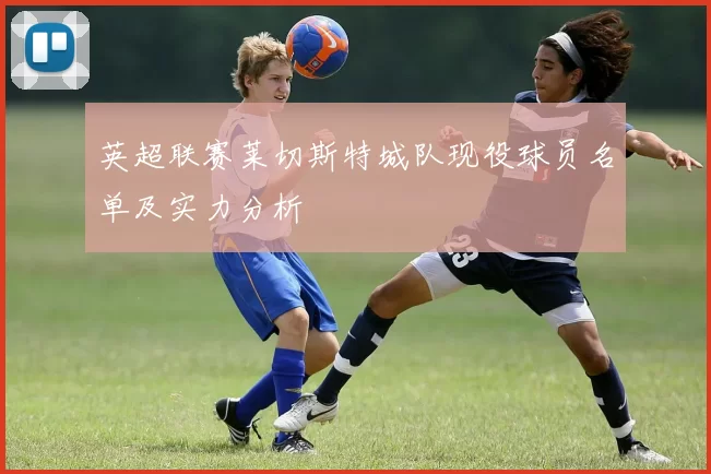 英超联赛莱切斯特城队现役球员名单及实力分析