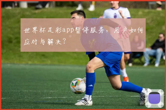 世界杯足彩app暂停服务，用户如何应对与解决？
