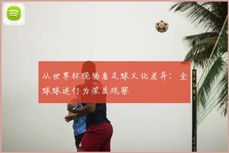 从世界杯现场看足球文化差异：全球球迷行为深度观察