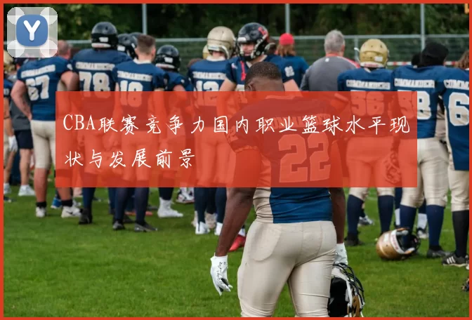 CBA联赛竞争力国内职业篮球水平现状与发展前景