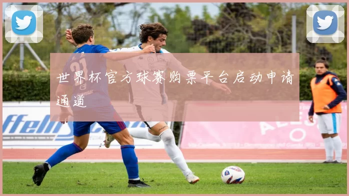 世界杯官方球赛购票平台启动申请通道