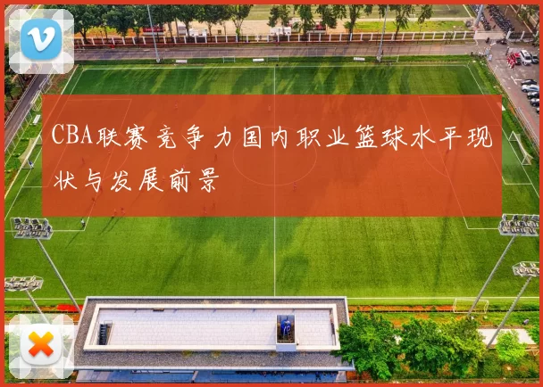 CBA联赛竞争力国内职业篮球水平现状与发展前景