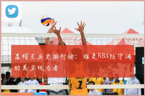 盖帽王历史排行榜：谁是NBA防守端的真正统治者