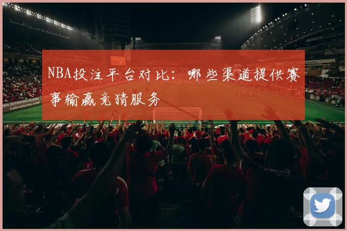 NBA投注平台对比：哪些渠道提供赛事输赢竞猜服务