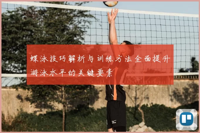 蝶泳技巧解析与训练方法全面提升游泳水平的关键要素